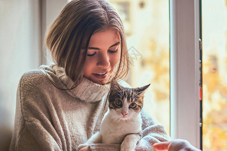 穿着温暖毛衣的漂亮女孩着她最爱的猫坐在窗图片
