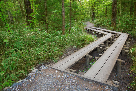 山丘Hotaka山径上徒步行的木脚桥图片
