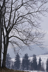 冬季风景山峰山脚下雪美丽图片