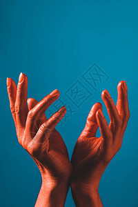 蓝色背景上用珊瑚彩色手摸着棕色手裸露的背景图片