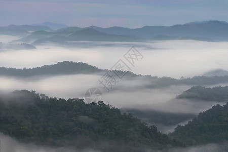 山中的雾景美丽的早晨图片