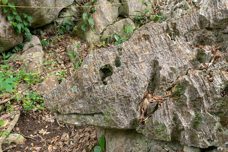 冲绳的大石头和树图片