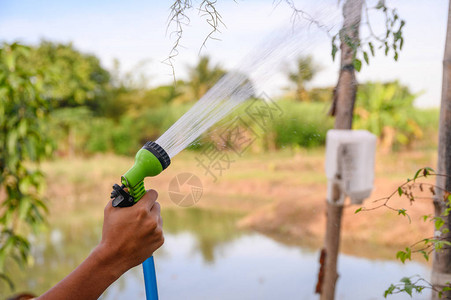 手持喷水器在花园里浇水图片