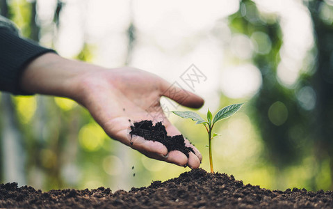 植树概念人们在森林里植树图片