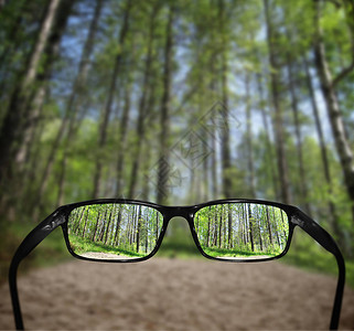 眼镜视觉概念森林图片