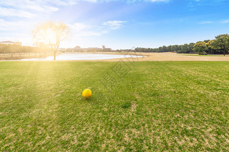 高尔夫俱乐部的绿图片