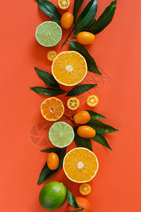 珊瑚红色背景上的柑橘类水果特写图片