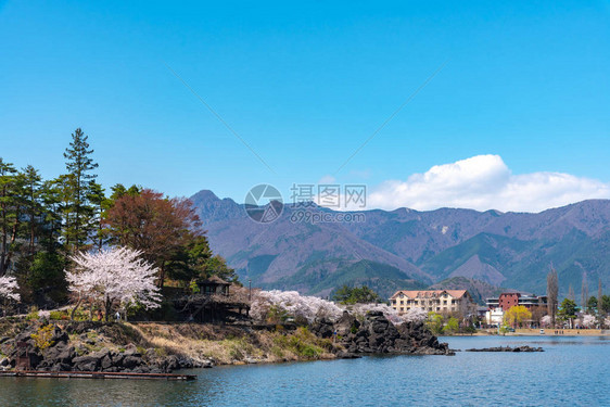 三川口樱桃花节图片