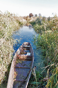 在乌克兰秋季河岸上划水的老图片