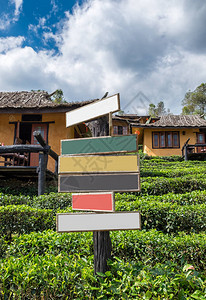 茶叶种植场和土屋的木质标志板上装有色图片