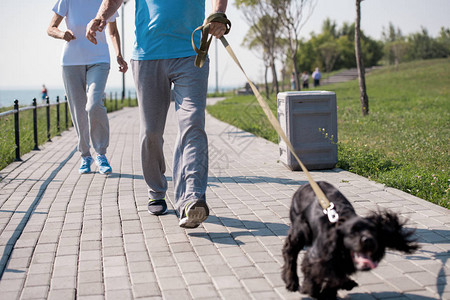 与宠狗一起在公园复制空间享受晨跑的活跃老年夫图片