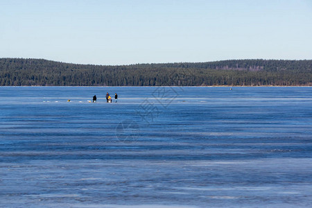 冰湖中的冬季冰钓爱好者正在钓鱼背景图片