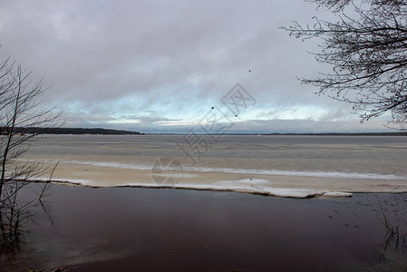 雪下深冬的冰冻水体河流或湖泊岸上的树木图片