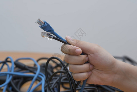 rj45网线图片