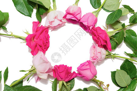 粉红玫瑰花束板躺图片
