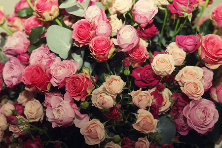 多色玫瑰花束鲜花背景图片