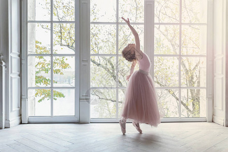 舞蹈课上的年轻古典芭蕾舞演员女孩美丽优雅的芭蕾舞女演员在白光大厅的大窗户附近穿着粉色短裙图片