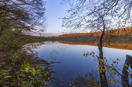 秋天寂静湖的树间图片