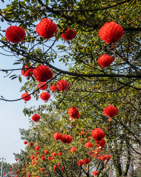 传统的绿灯吉祥图片