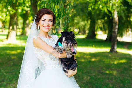 穿着婚纱的幸福新娘将狗抱在她的怀里图片