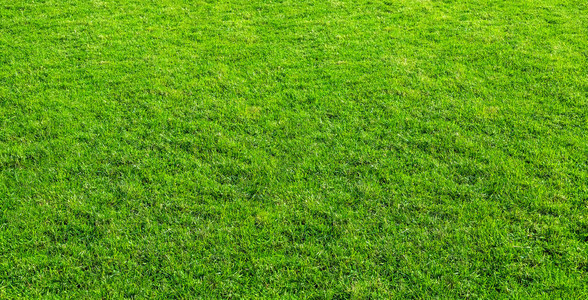 错失单刀！萨卡单刀机会想搓射远角，被门将扑出