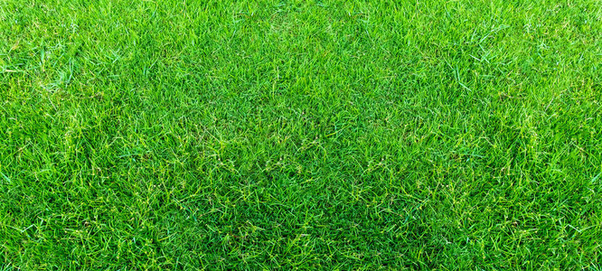 于根伟：申花是争冠球队，间歇期会做好分析力争打好最后一轮