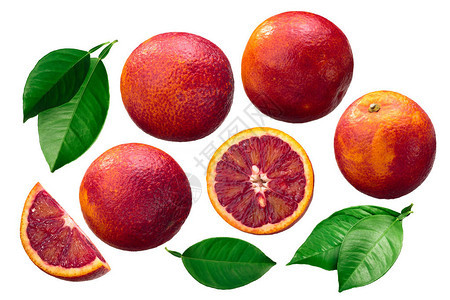 血橙子Citrusx罪恶水果全身背景图片