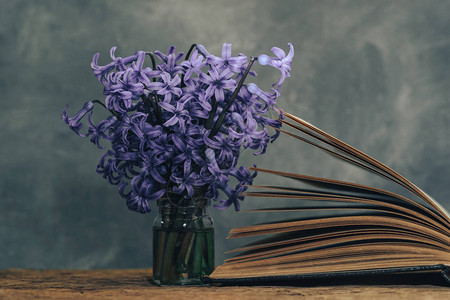 在古老的橡木桌上打开书本和紫花图片