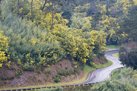 绿树环绕的蜿蜒道路的高处景观背景图片