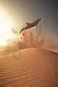 海豚在沙地上跳跃全球升图片