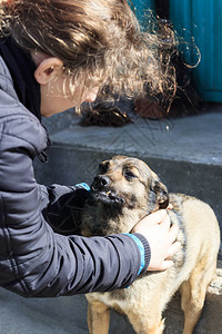 中华田园犬女孩抚摸流浪狗她很喜欢她背景