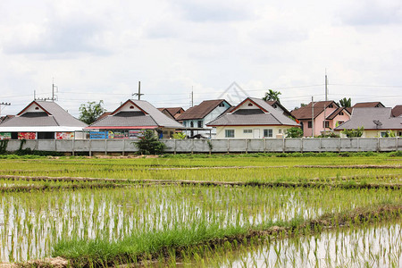 靠近城市周边Chiangmai市住宅图片