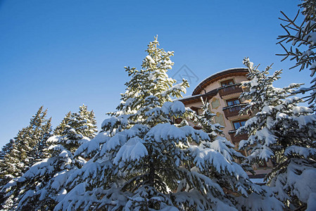 高山滑雪胜地上斜坡上有公寓楼的冰雪覆图片