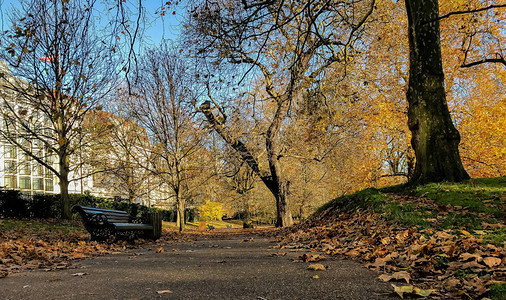 伦敦一个空荡的公园长椅图片