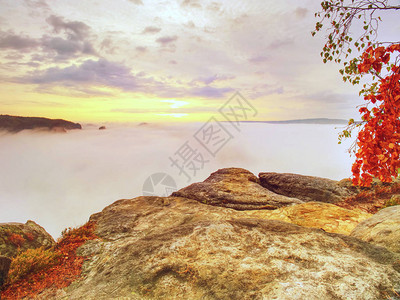 在岩石悬崖边缘厚雾中沙石高原的神秘景象美丽的沉雾落地大众旅游目的图片