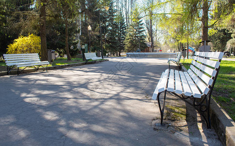 初春清晨公园小巷的长椅图片