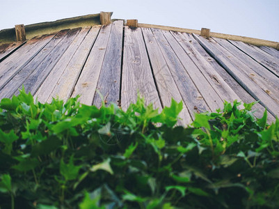 屋面防水WoodenShackRoof与绿背景