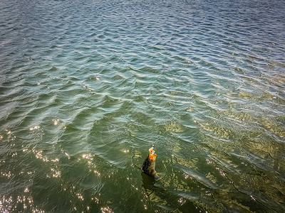 在湖上钓鱼图片