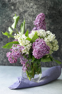 一束白色和紫色丁香春天的花朵图片