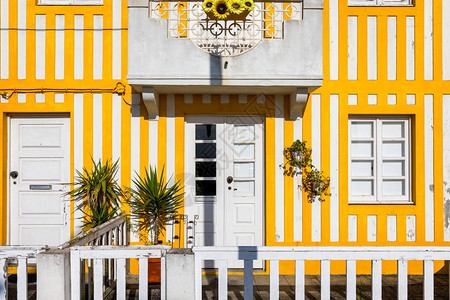 葡萄牙阿威罗科斯塔诺瓦街上有五颜六色的房子图片