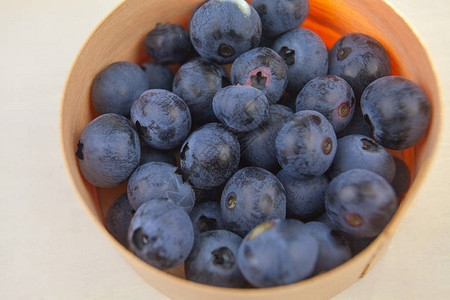 在白色背景夏天的蓝莓背景图片