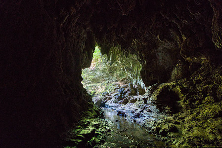 西表岛的洞穴图片