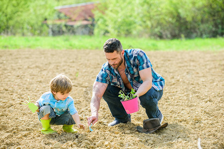小男孩帮助父亲务农新生活土壤和肥料丰富的天然土壤地球日生态农场父亲和儿子在地上种花地球节快乐图片