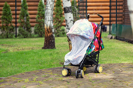 婴儿车里的孩子在时覆盖着防护网带防蚊白色罩的婴儿车在户外步行季节为儿童图片