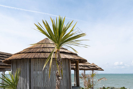 美丽的热带海滩配有草伞和棕榈小餐图片