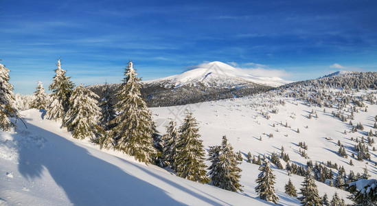 乌克兰戈弗拉山中美丽的冬季景观山顶覆盖着雪和山脚图片