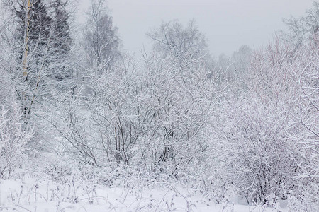 寒冷天气下雪积公图片