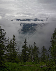 瑞士阿尔卑斯山的隐森林与高密度云层相抗撞图片