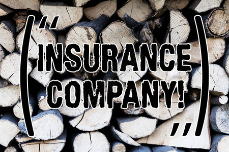 手写文本保险公司向公众提供保险单的概念照片公司背景干切木柴堆放在一图片