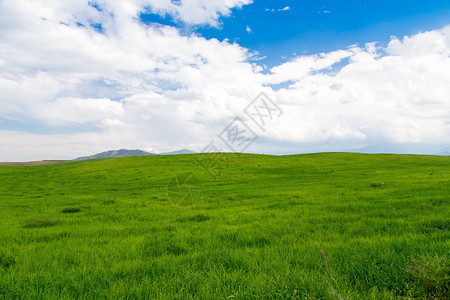 美丽的春天和夏日风景图片